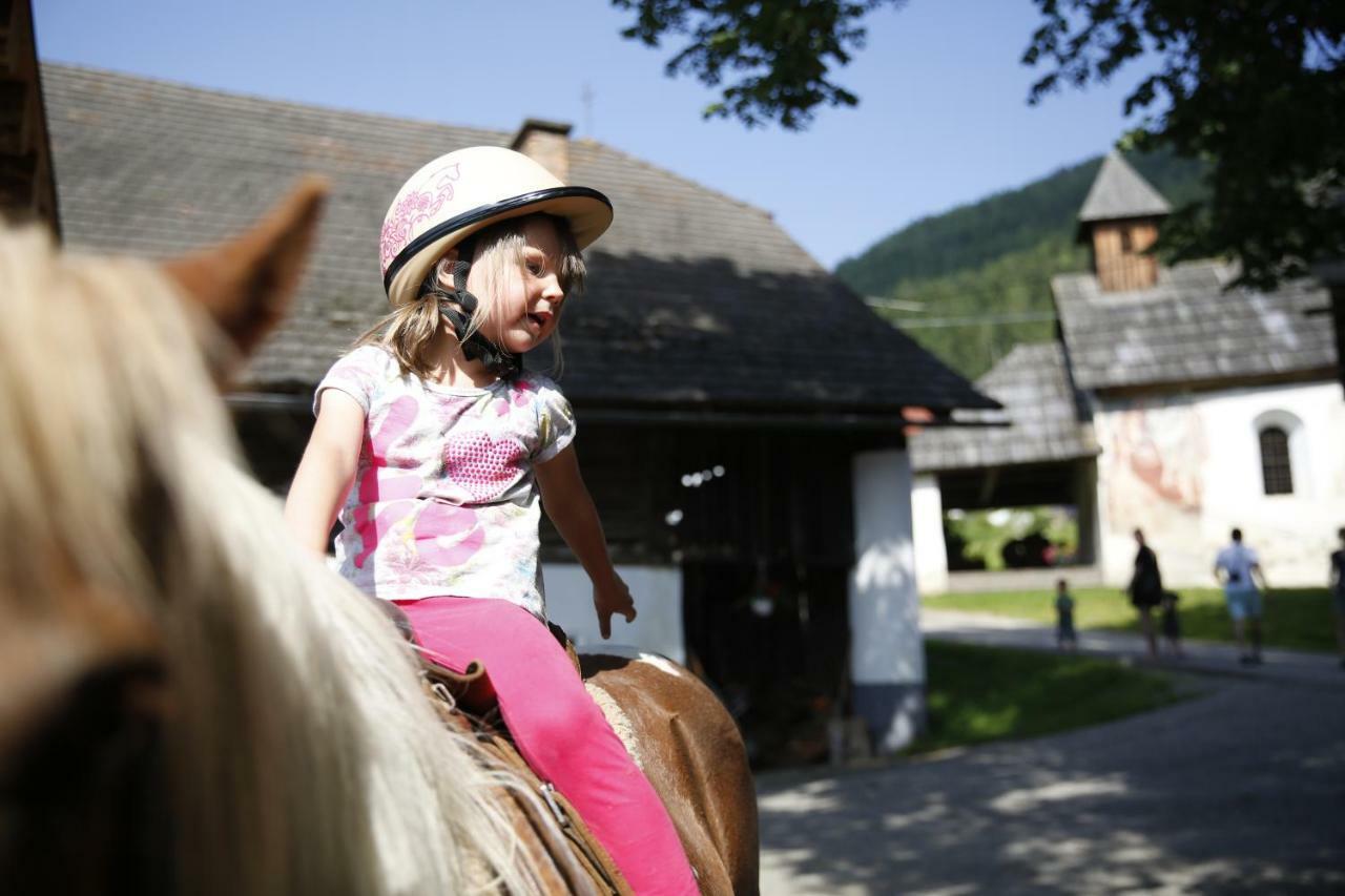 Вілла Familienbauernhof Glawischnig-Hofer Ґмюнд-ін-Кернтен Екстер'єр фото